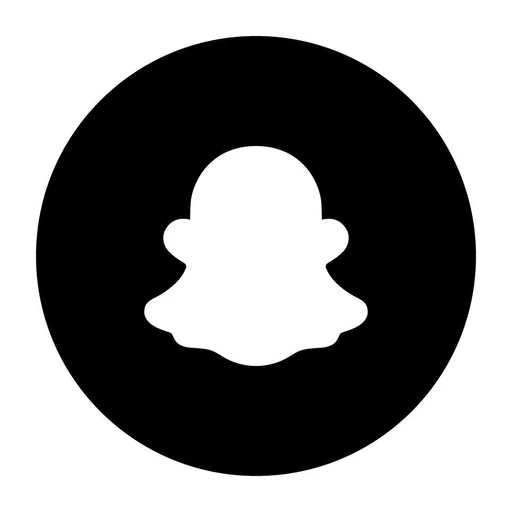 Snapseen Logo Snapseen